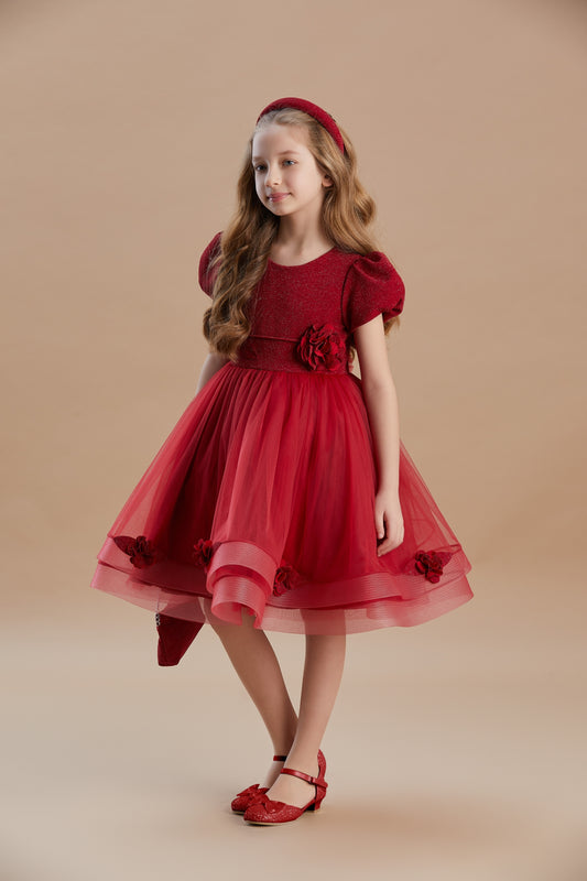 Rose Detailed Girls Special Occasion Dress 3-8 Years