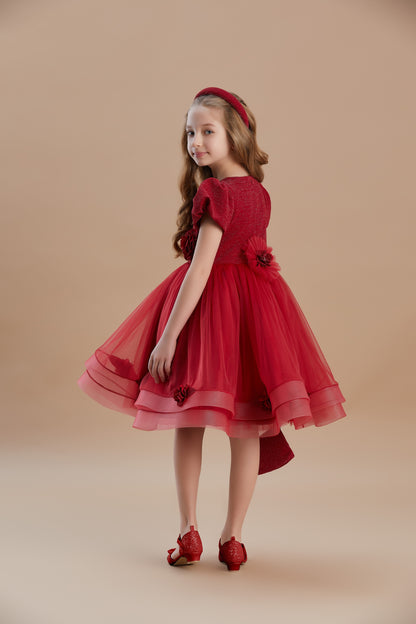 Rose Detailed Girls Special Occasion Dress 3-8 Years